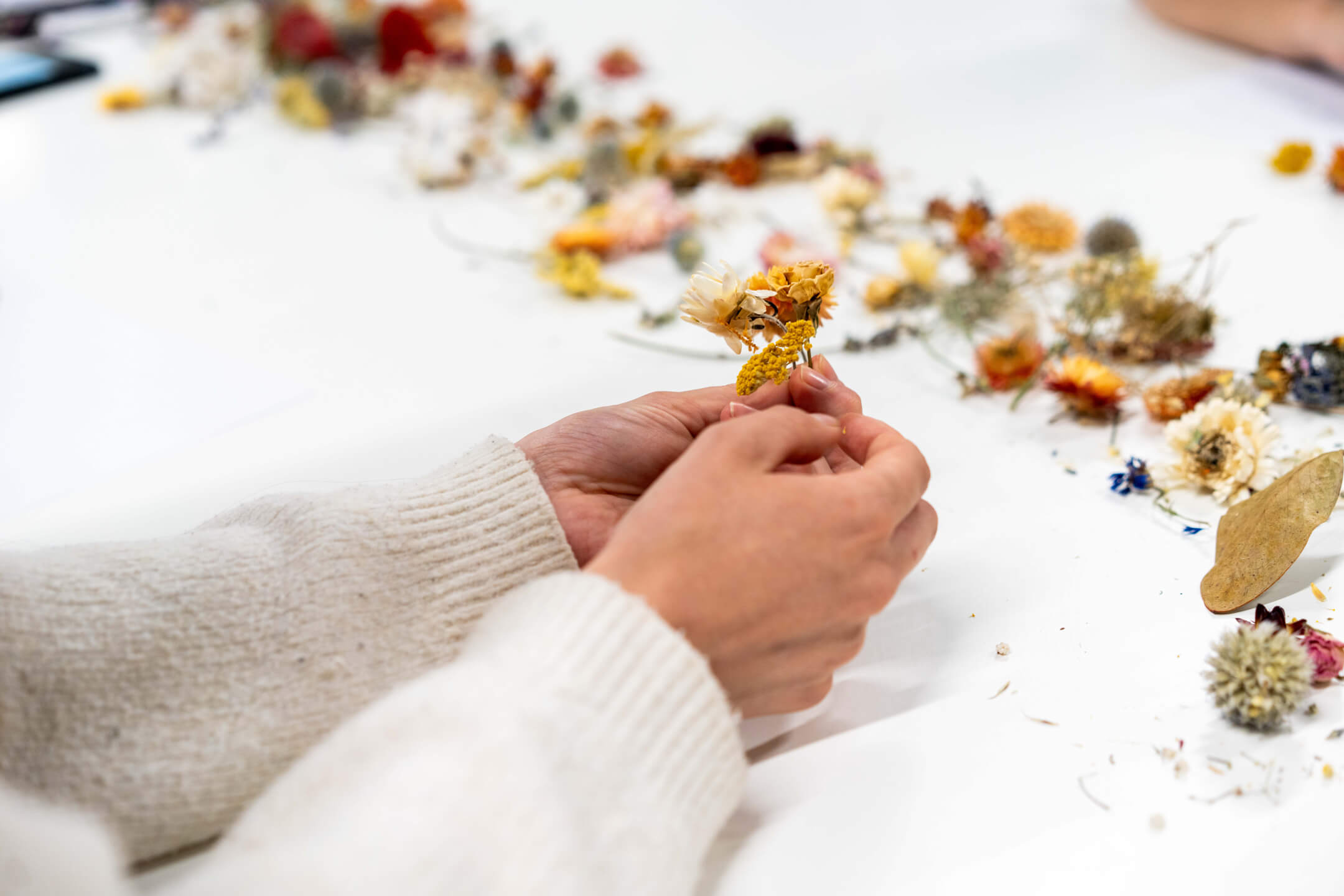 Biophilic Design with AdesignStorie